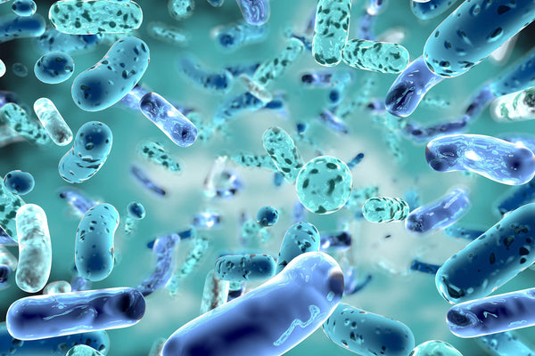 Is Your Investment In Probiotics Going Right Down The Drain?..